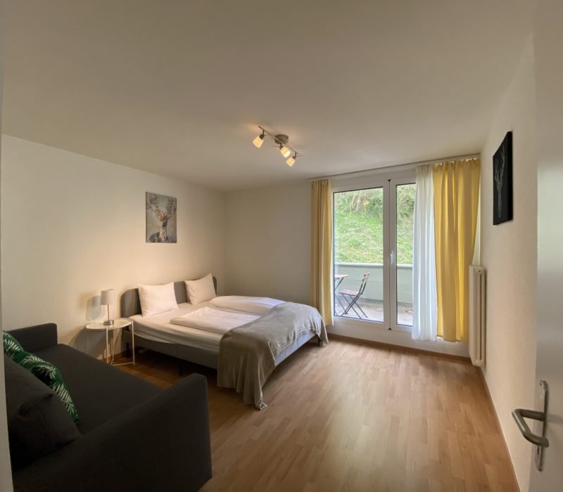 furnished apartments Lucerne